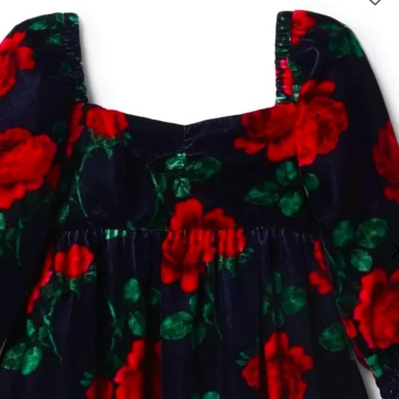 Janie and Jack velvet Navy w/ Red Rose Dress size 5 NWOT - Picture 2 of 7